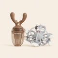 4M+ Teether & Feeder Starter Set