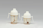 6M+ Twin Sippy Cup Learning Set