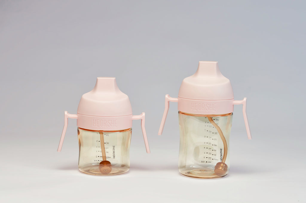 6M+ Twin Sippy Cup Learning Set