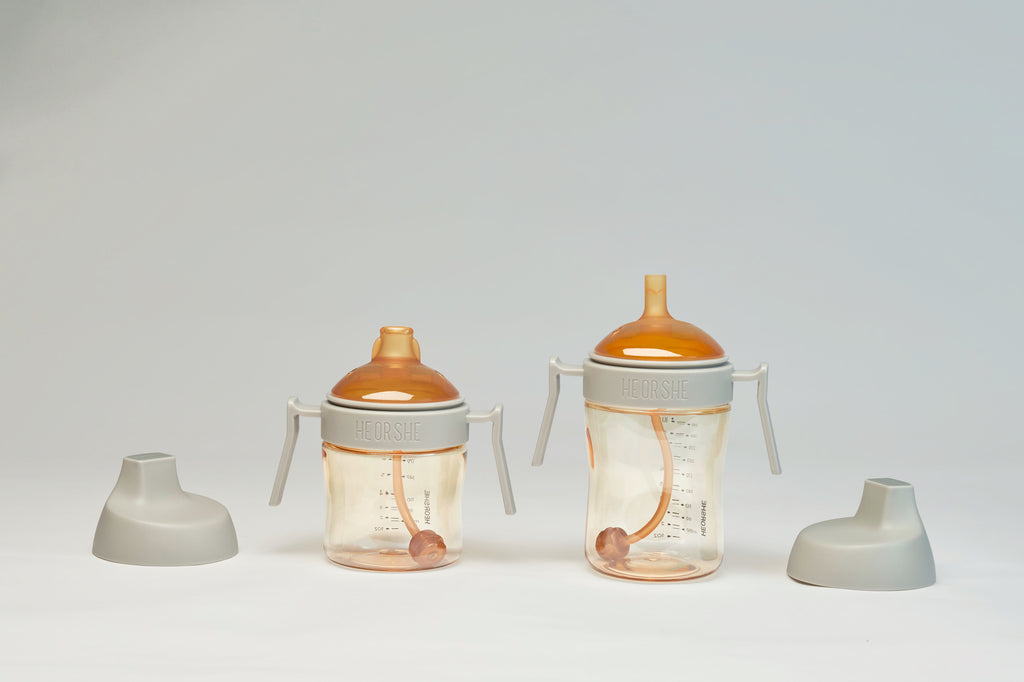 6M+ Twin Sippy Cup Learning Set